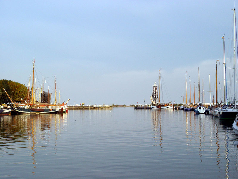 DSC01355