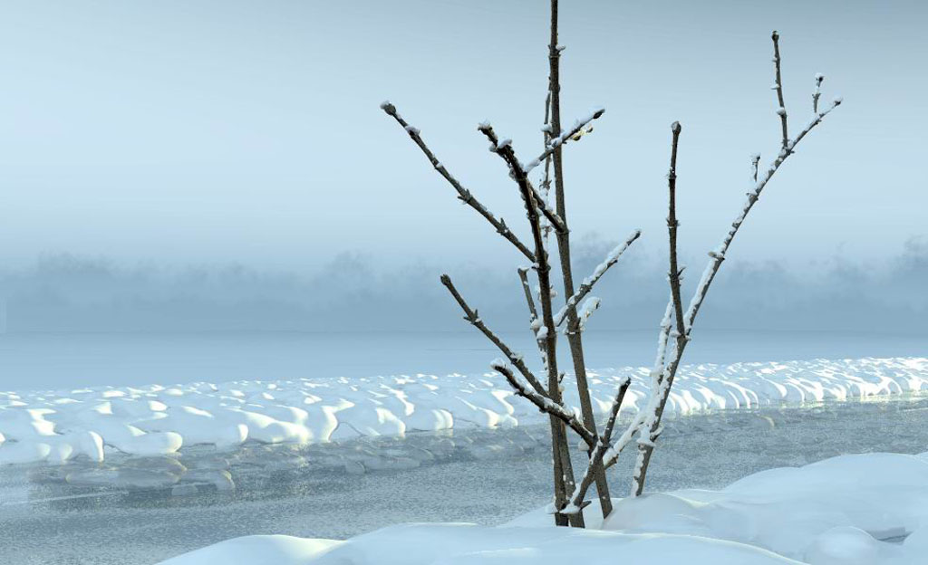 The white trail