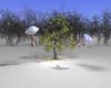Objects02